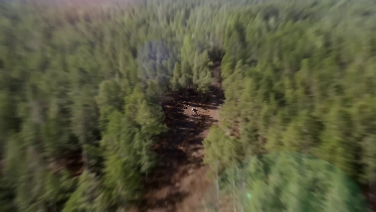 $10,000 Every Day You Survive In The Wilderness