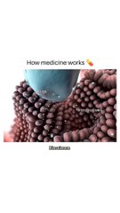 How Medicine Works in Your Bloodstream 💉