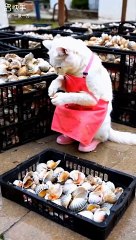 Fanny video very funny video omg  #funnyvideo#funny #funnyvideos#memes #funnymemes#Funny #Shorts #Reels