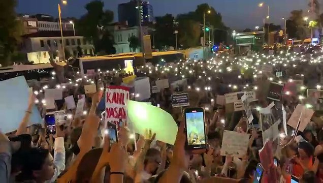Hayvan hakları savunucuları İstanbul’da ‘büyük eylem’ düzenledi: Hayvanları vermeyeceğiz