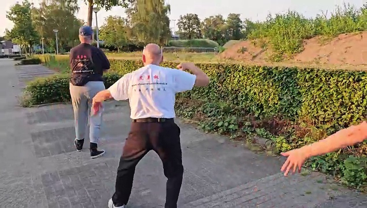 Yang style Tai Chi Chuan - Cornelis Slotema He Yong Gan Martial Arts