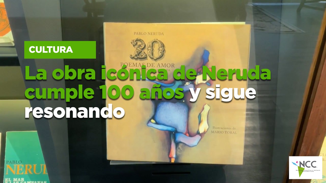 Activistas protegen y liberan crías de tortugas en la Amazonía brasileña