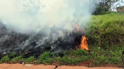Bombeiros combatem incêndio em vegetação rasteira no Brasmadeira