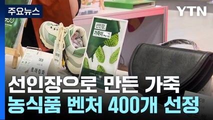 [新농비] 농식품 스타트업 창업 박람회에서 만난 '선인장 가죽' / YTN