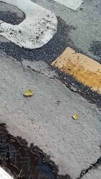 VID-20240727-WA0000
