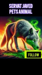 Top 10 Big Animal's Ke V'S ke New Video