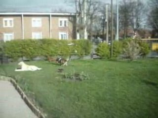 Video Cina 004 🇨🇳