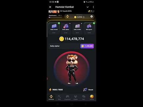 Hamster kombat Daliy Cipher code Solve and Earn crypto coins