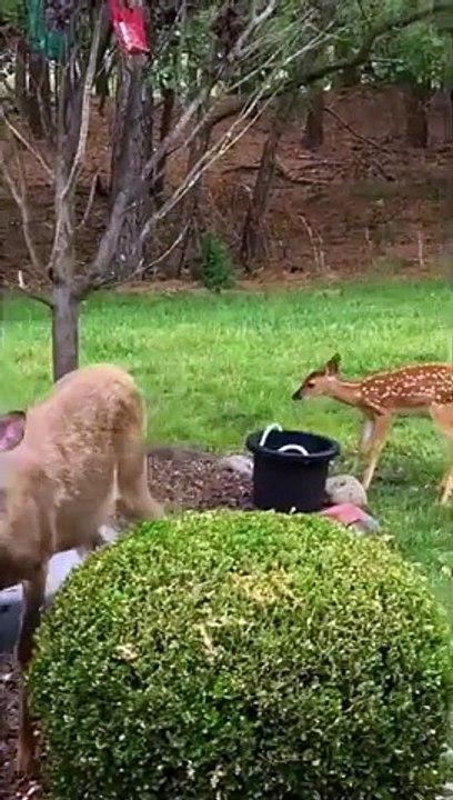 What a beautiful story