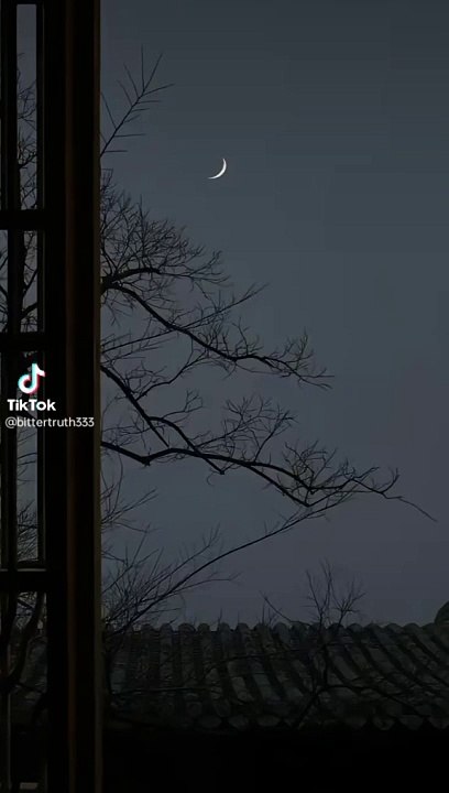 FbVideo_1722115925023