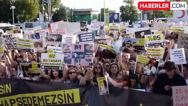 Hayvan Hakları Savunucuları Hayvanları Koruma Kanunu Değişikliğini Protesto Etti