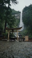 JAPAN  Mysterious place with waterfall and torii⛩️ Hiro Shrine - Wakayama , Japan