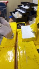 Flagrante na BR-277: cocaína disfarçada de doce é apreendida e motorista é preso