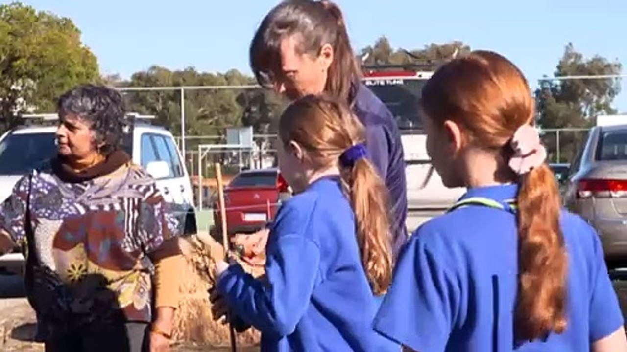 How the Miyawaki method of creating tiny forests could be the solution to Perth's tree canopy issues