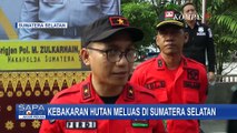 Begini Kondisi Penanganan Kebakaran Hutan di Palembang dan Jambi