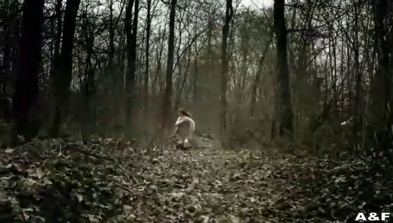 Weinberg -04- Trauma