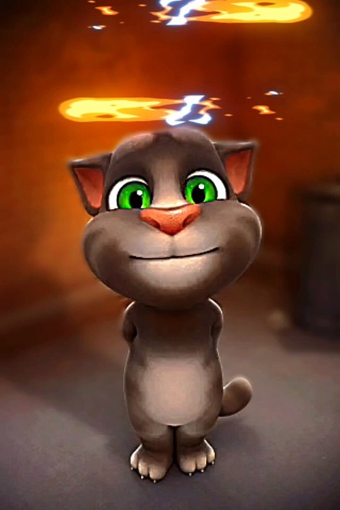Angry cat