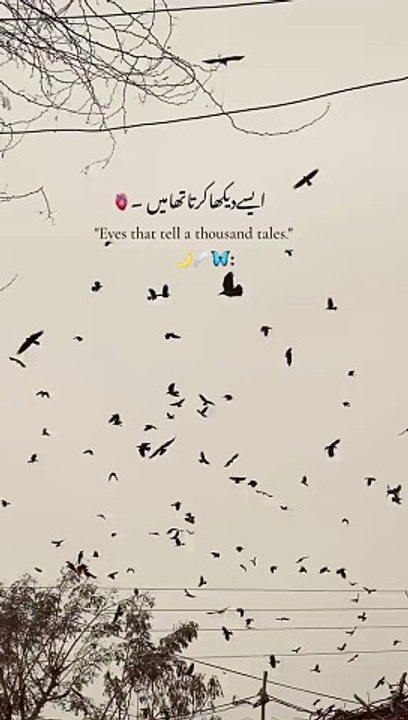 ایسے دیکھا کرتا تھا میں اس کی جھیل سی انکھیں