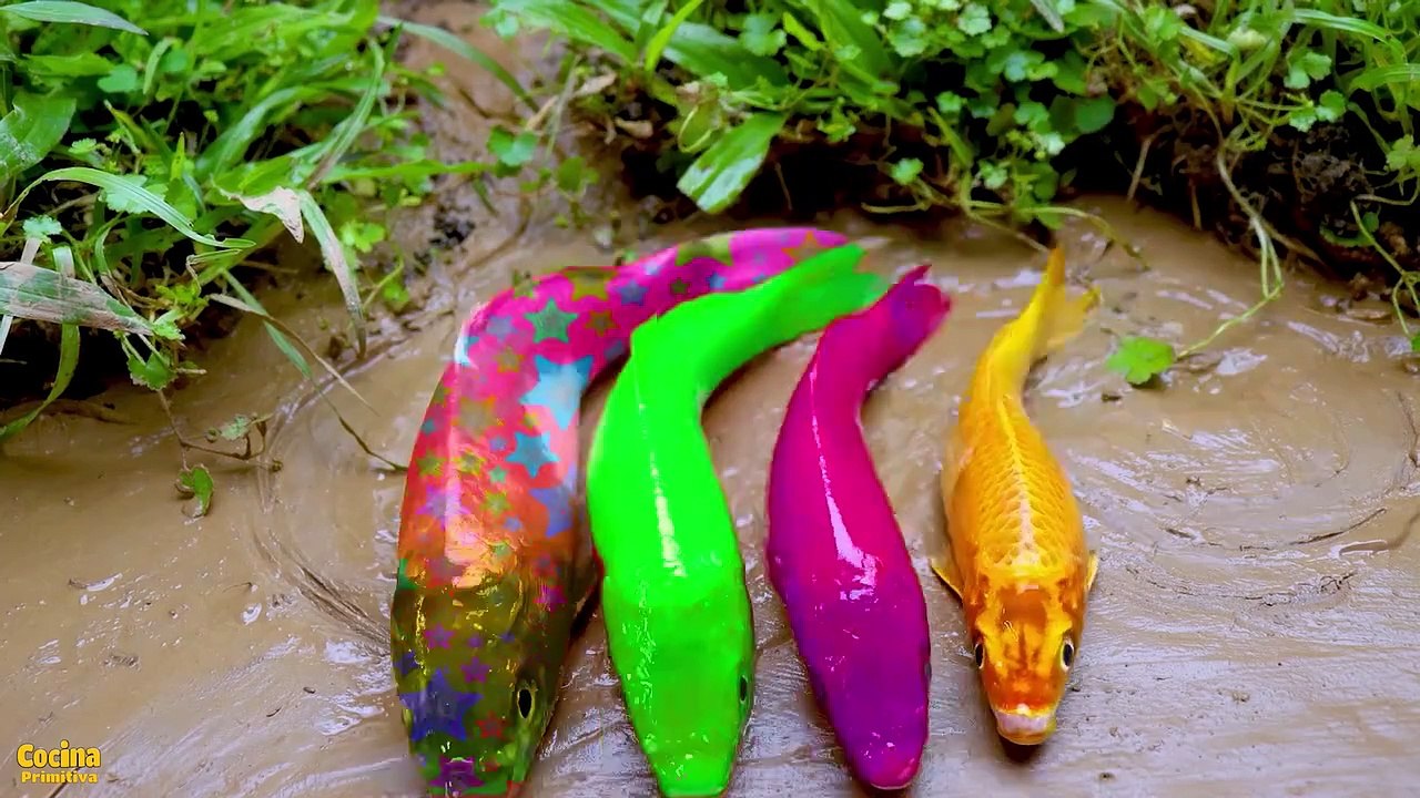 Formation Koi Fish Rainbow Carp Eel | Stop Motion Satisfying Cocina Koi Fish Magnet ASMR Mukbang 강물고기 틸라피아