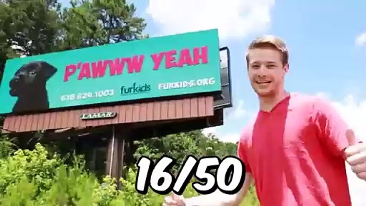 I adopted every dog In a dog shelter!