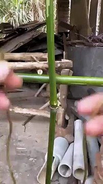 How to tie the cross bean rope ,rack ,diy crafts and tricks videos, crafts,#diycrafts #tricks #arts