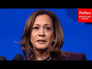 Here Are The Weaknesses In The Kamala Harris Campaign: Top Pollster