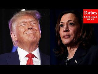 Journalist: If Trump Does These Two Things 'He Still Wins The Race'
