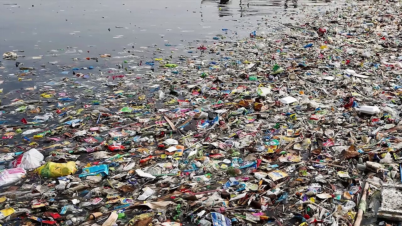 A World Without Humans - What If We Never Existed?