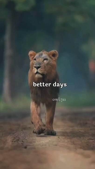 when you start taking care of yourself, you start feeling better, you start looking better and you start to attract better things in life, it all starts with you.