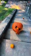 Tips to Overcome Challenges 👋