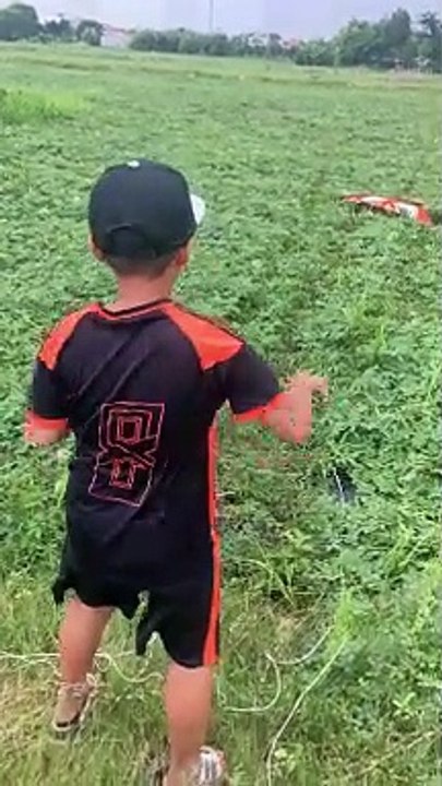 Học sinh cứu diều sáo và cái kết ntn