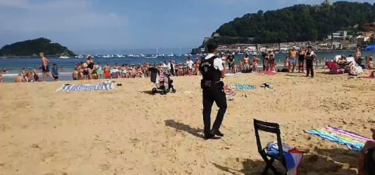 Avispero en La Concha