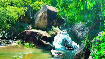 Relaxing_ gentle piano music with the sound of forest streams and chirping birds(360P)