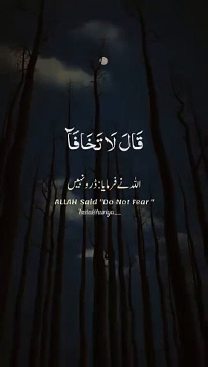 VID-20240724-WA0000