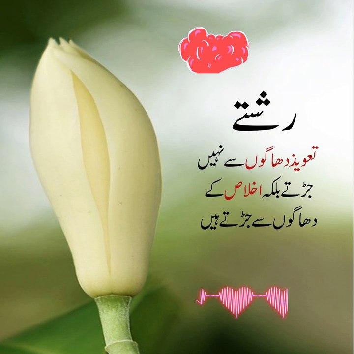 Urdu quotes