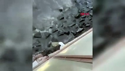 Kuzey Ege'nin cennetinde belediyeye milyonluk ceza