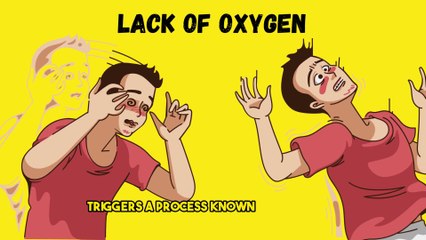 What Happens to Your Body When You Die?