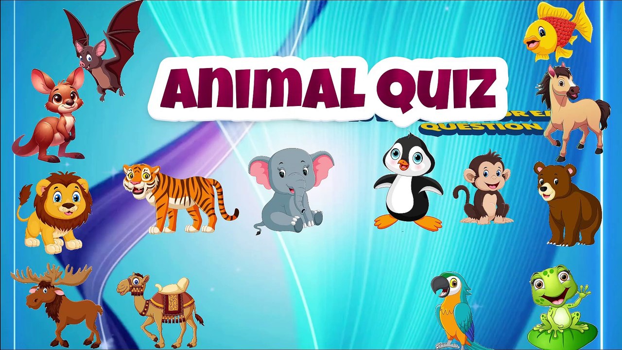 Animal Quiz Part 2 Final
