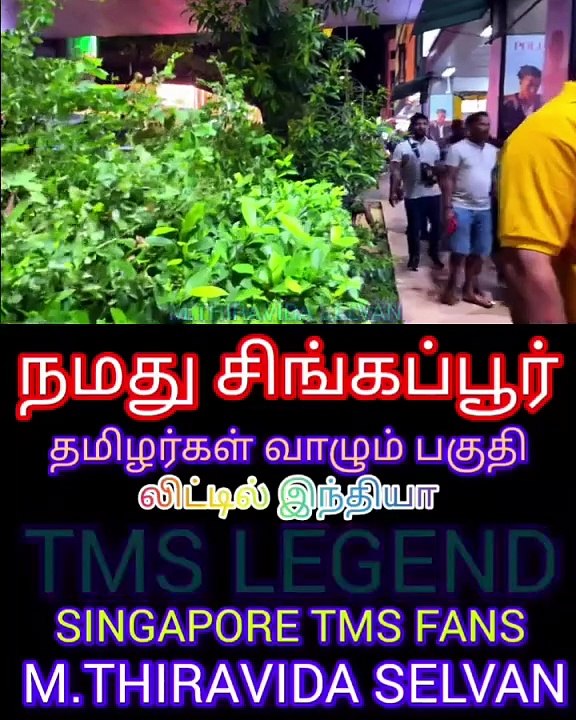 நமது சிங்கப்பூரில் தமிழர்கள் வாழும் பகுதி SINGAPORE TMS FANS M.THIRAVIDA SELVAN PART 5