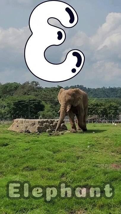 E is for Elephant  Fun ABC Learning for Kids  Educational Video
