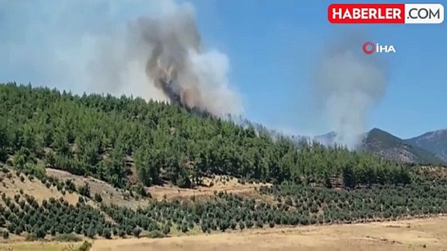 Hatay'da Hassa ilçesinde orman yangını