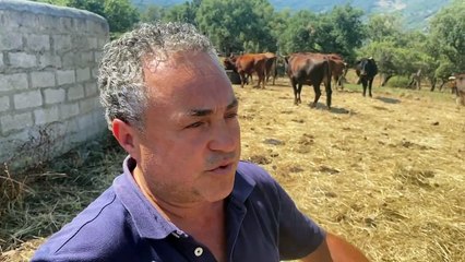 La siccità nei Nebrodi