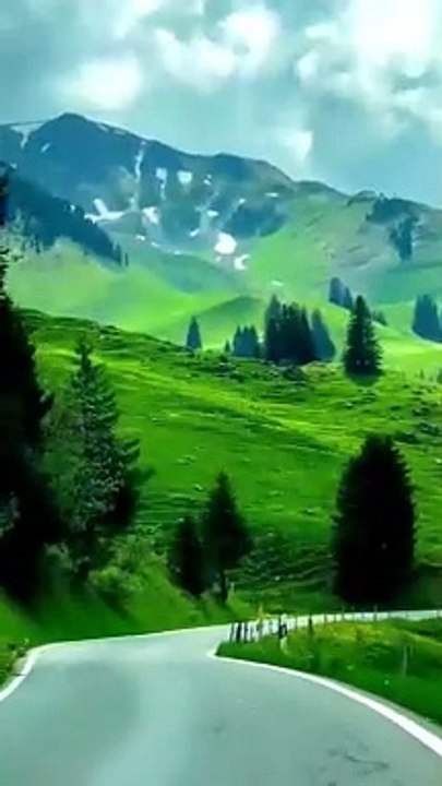 Nature does not hurry, yet everything is accomplished.