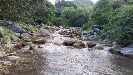 Nature sound and water fall