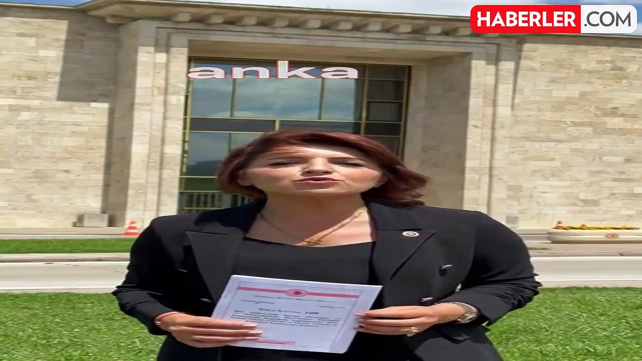 CHP Milletvekili Gülcan Kış, sokak hayvanlarına ilişkin kanun teklifiyle ilgili tepki gösterdi
