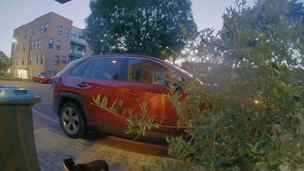 Wife annoyed at husband acting like a child after having one too many drinks