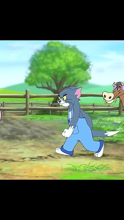 Tom and jerry cartoon funny