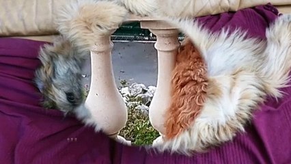 Juin 2024 CONCOURS plaisir - SD 480p