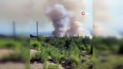 Antalya’da ormanlık alanda yangın