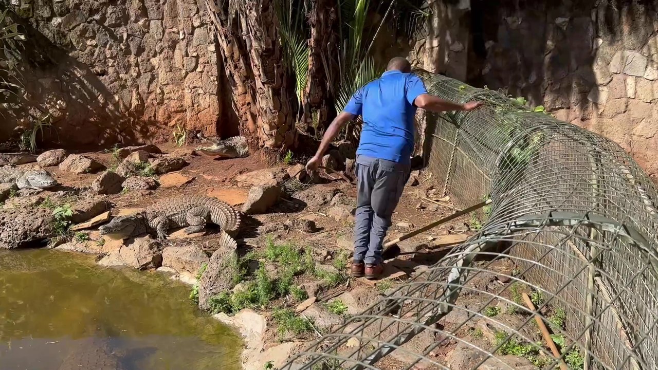 Mbamba Village: A Hidden Gem in Nairobi